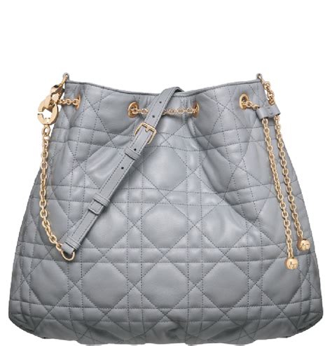 dior ammi bag large